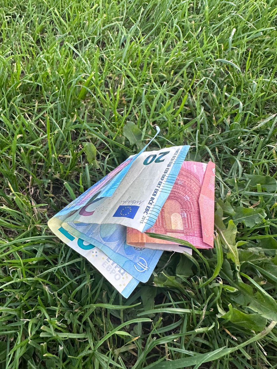 A large cylindrical purple bin with a hooded top and side opening, mounted on a concrete slab beside a paved path in a grassy park area. / A stack of Euro banknotes including visible 20 and 50 euro notes lying on green grass.