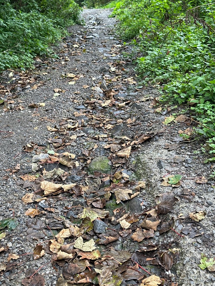 Rain has washed away path.