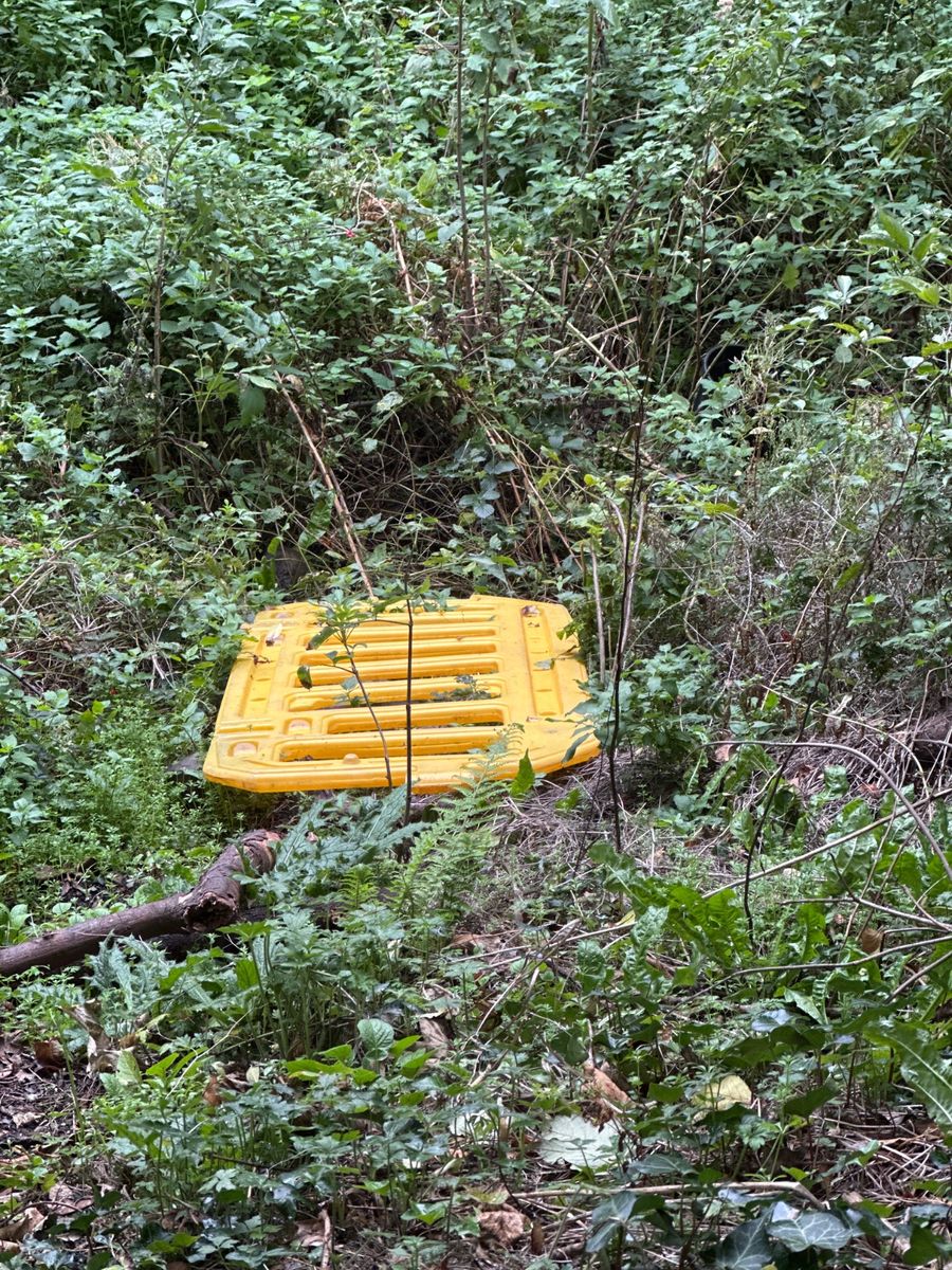 Litter & dumping