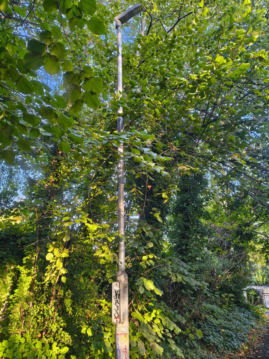Street lighting