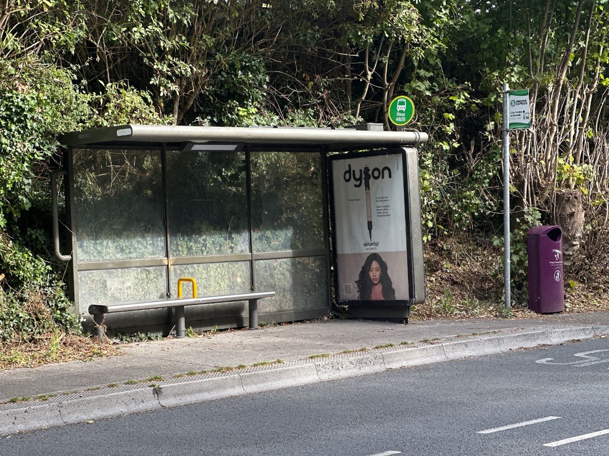 Bus from Ballintrane Wood to Sutton Station, Swords Manor, Ormond Avenue and Swords Pavilions — stop 4925 — bus stop, Forest Road